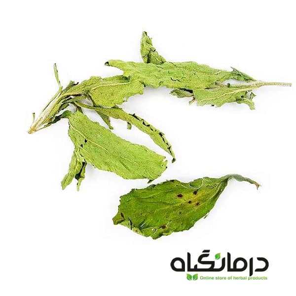 برگ خشک استویا Stevia dried leaf