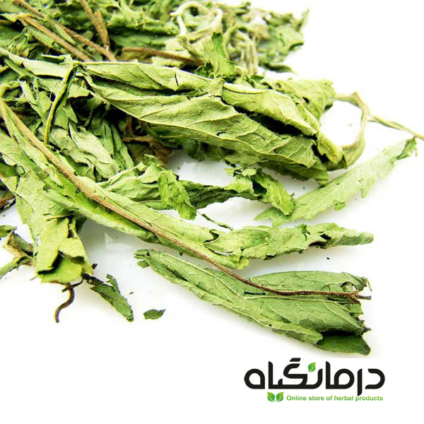 برگ خشک استویا Stevia dried leaf
