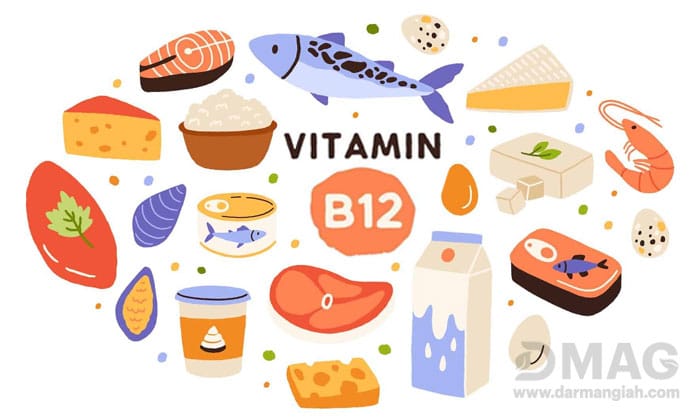 فواید ویتامین B12 در سلامت