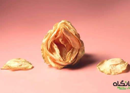 درمان خشکی واژن