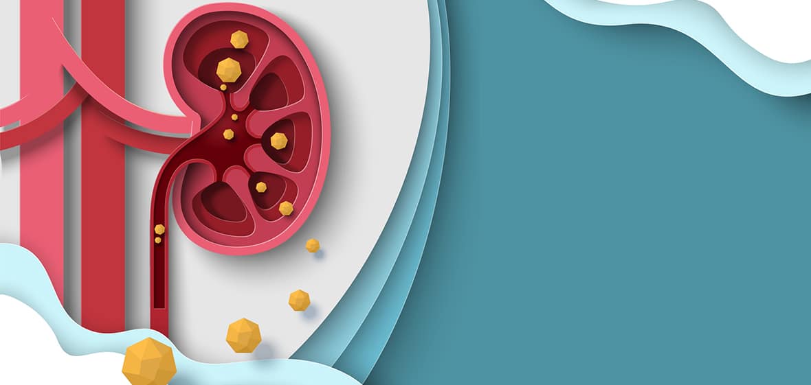 قویترین گیاه سنگ شکن کلیه