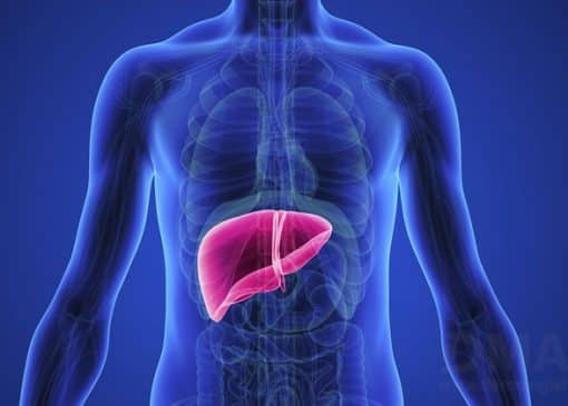 بهترین داروی گیاهی کبد چرب