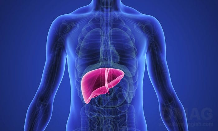 بهترین داروی گیاهی کبد چرب