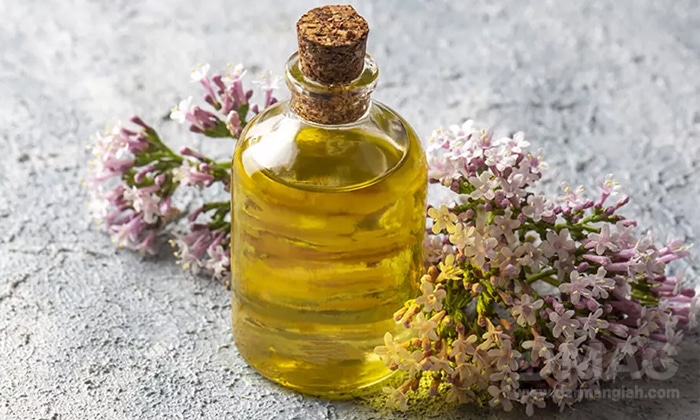 تاثیر سنبل الطیب بر خواب