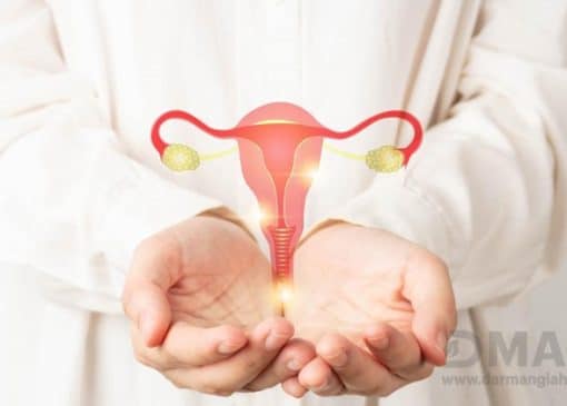 درمان گیاهی کیست تخمدان با بومادران