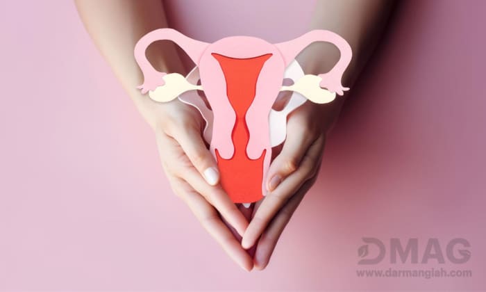 بهترین شیاف گیاهی برای عفونت رحم