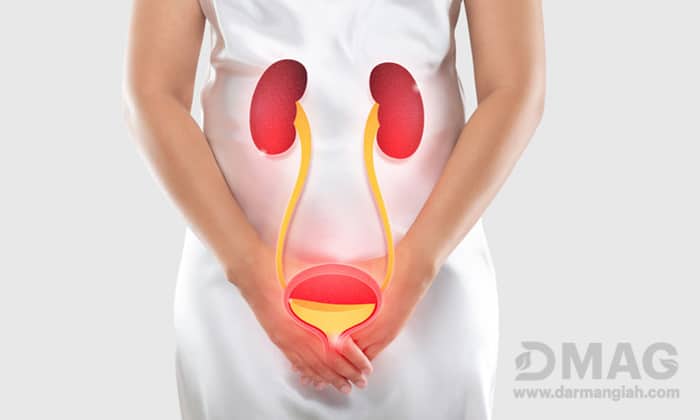 بهترین شیاف گیاهی برای عفونت رحم