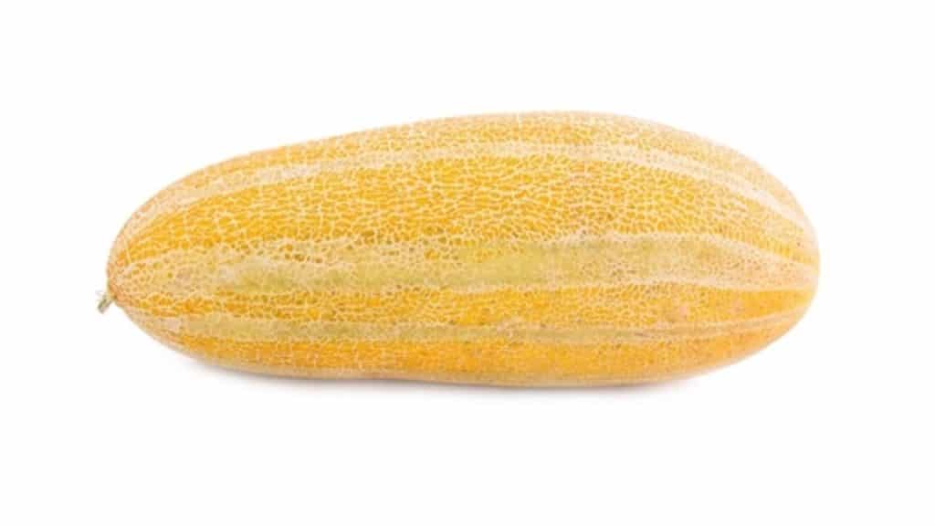 خربزه برای سنگ کلیه