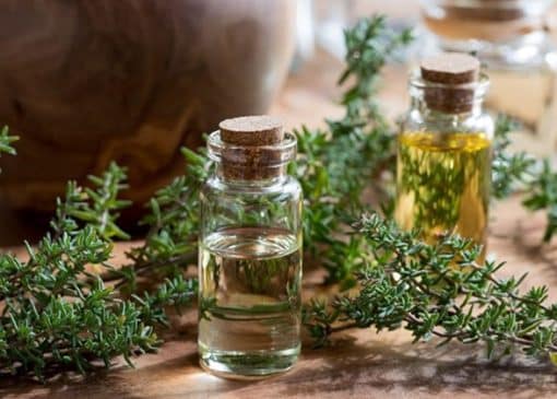 آویشن برای فشار خون