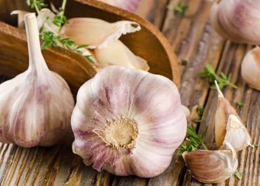 سیر برای عفونت واژن