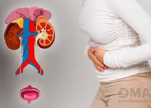 بهترین داروی گیاهی برای عفونت ادراری