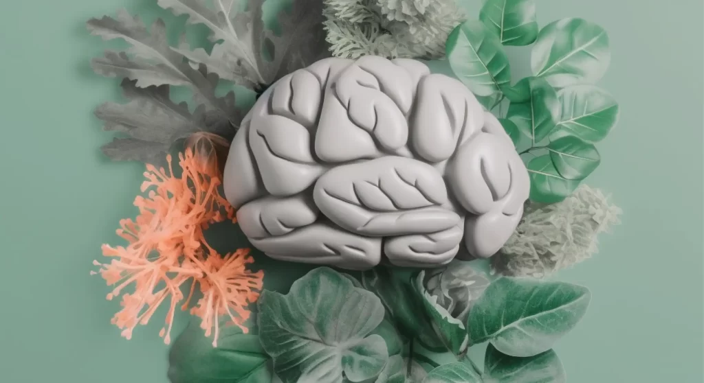 15 راهکار برای درمان سردی مغز در طب سنتی 3 تقویت حافظه گیاهی