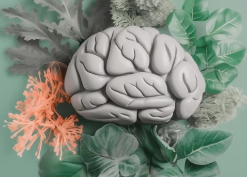 تقویت حافظه گیاهی