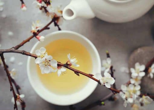 خواص چای سفید چیست
