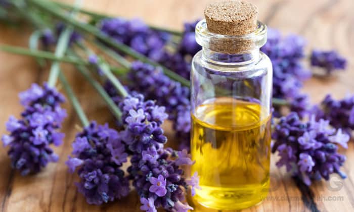 قیمت روغن بنفشه در طب سنتی