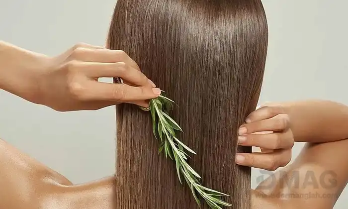 معجزه روغن رزماری برای ریزش مو