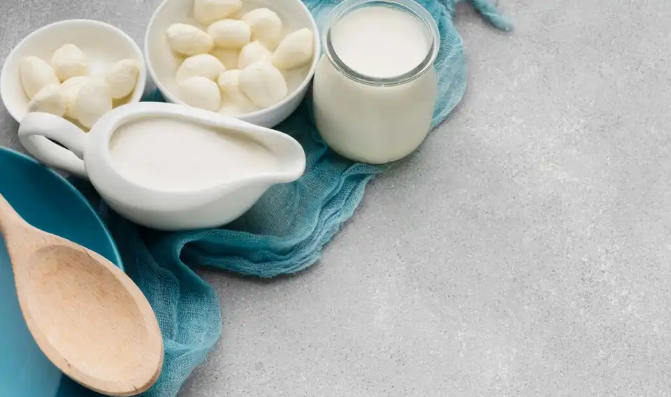 پروبیوتیک طبیعی را بشناسیم