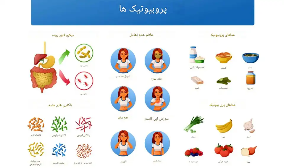 پروبیوتیک طبیعی را بشناسیم