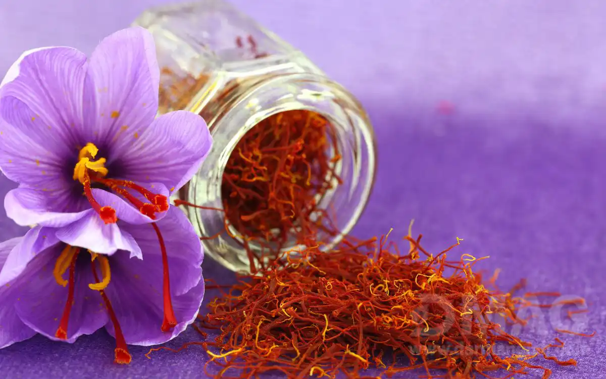 قیمت و خرید قرص زعفران