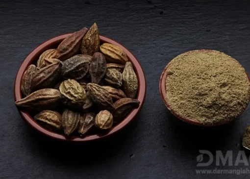 آشنایی با هلیله سیاه و خواص ان
