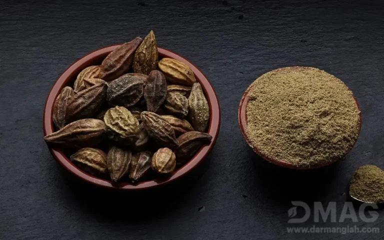 خواص هلیله سیاه: اکسیر جوانی و سلامتی در طب سنتی