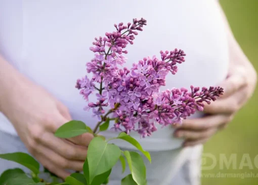 بارداری سریع با گیاهان دارویی