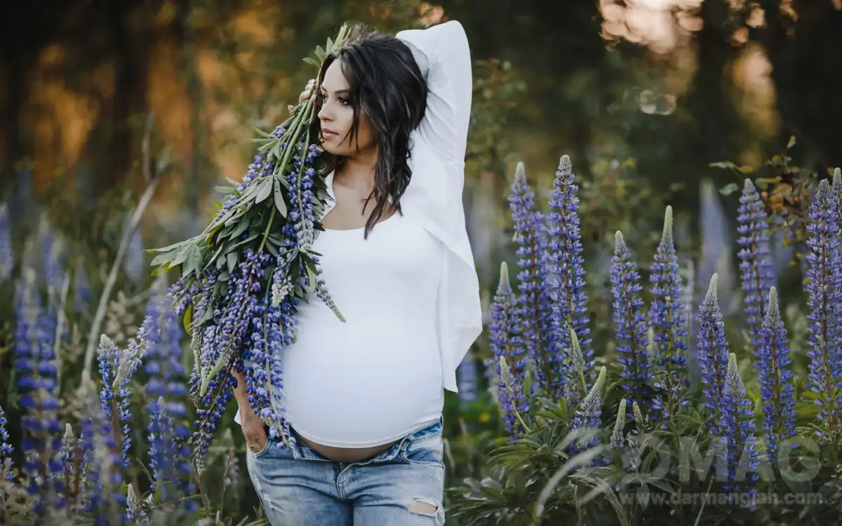 نقش گیاهان دارویی در بارداری سریع