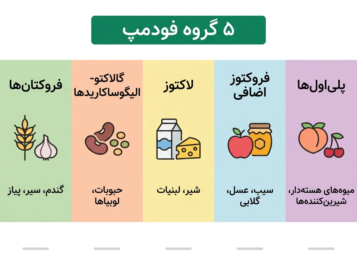 5 گروه فودمپ