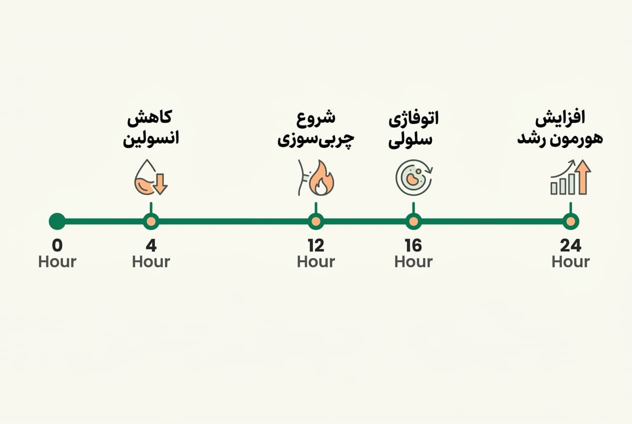 نحوه عمل رژیم فستینگ