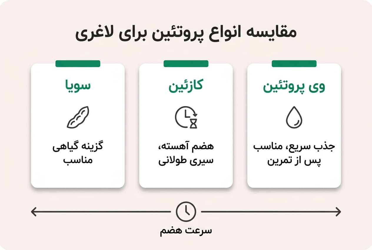 مقایسه انواع پروتئین برای لاغری