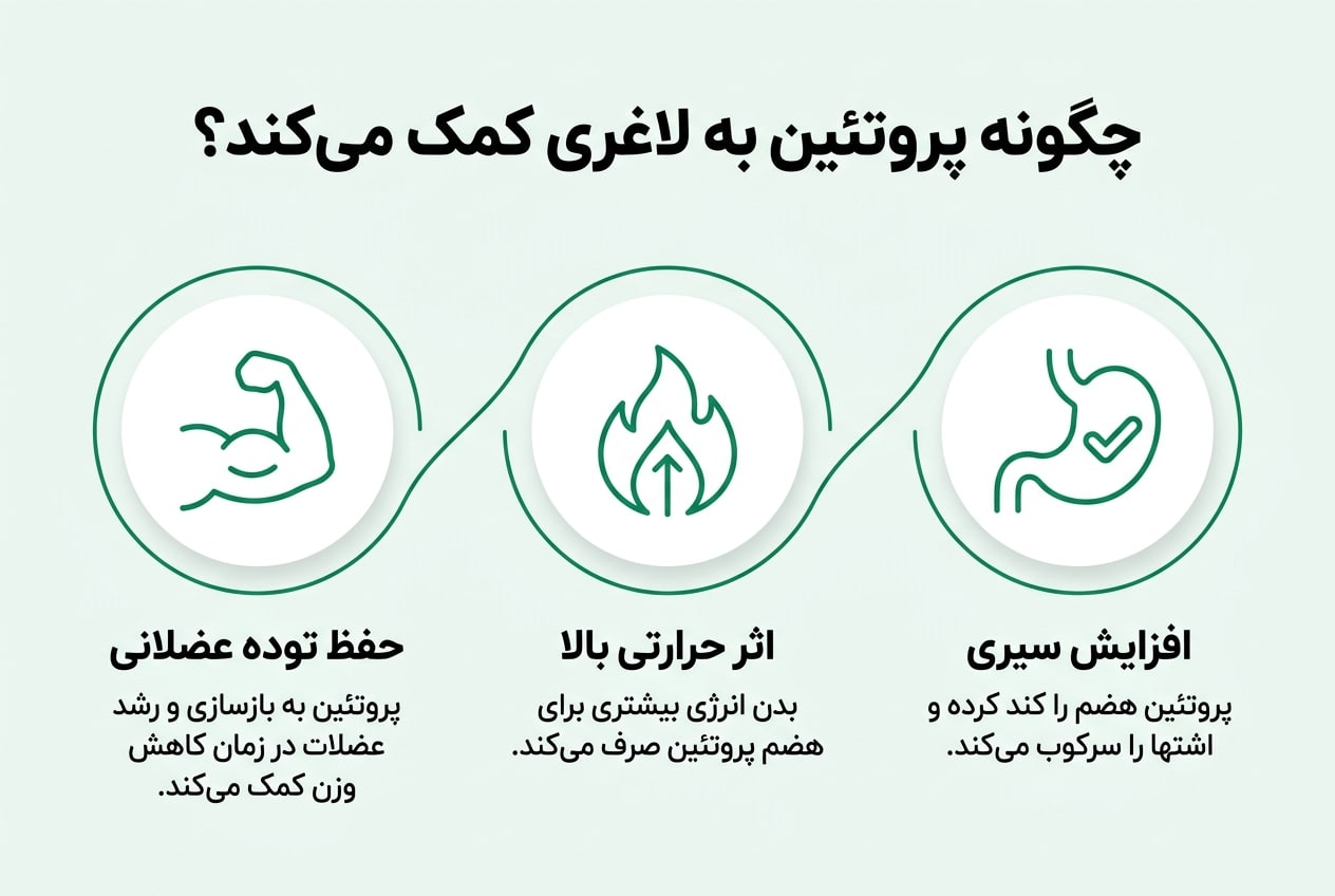 چگونه پروتئین بار به لاغری کمک میکند