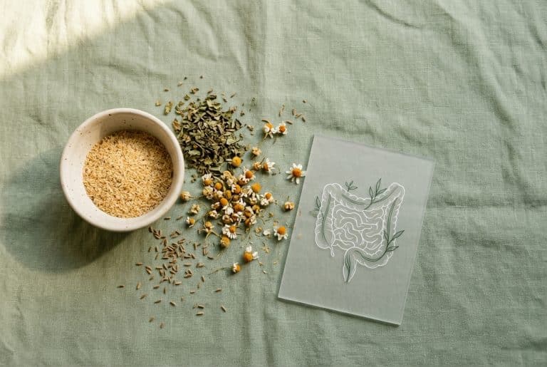 داروی گیاهی سندروم روده تحریک‌پذیر | راهنمای انتخاب برای IBS-C و IBS-D