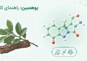 راهنمای یوهمبین