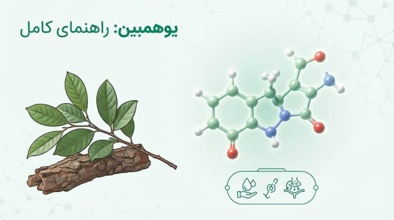 یوهمبین چیست؟ راهنمای کامل خواص، عوارض و کاربرد در تقویت جنسی و بدنسازی