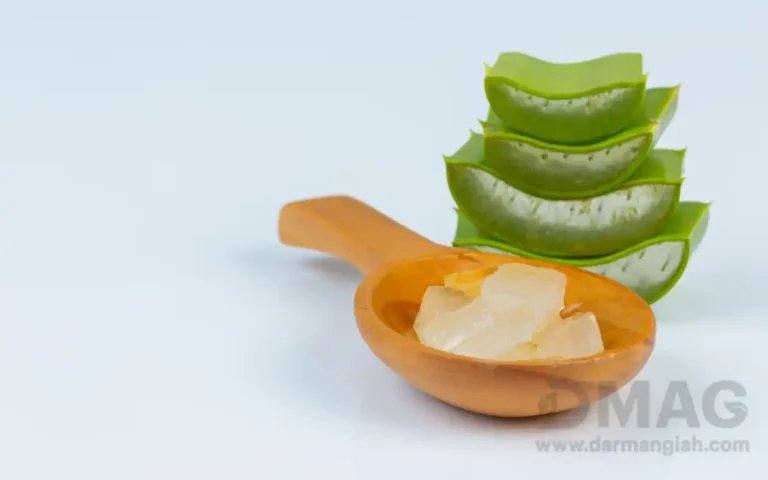 خواص آلوئه ورا برای معده