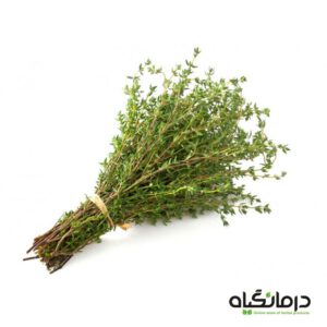 آویشن-باغی-Thyme