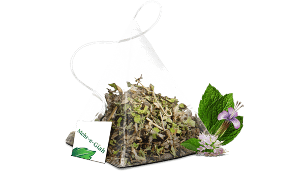 دمنوش کیسه ای نعنا معرگیاه