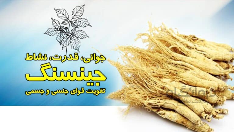جینسنگ اسلایدر اپلیکیشن