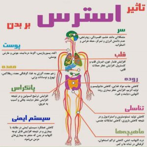 اینفوگرافی تاثیر استرس بر بدن