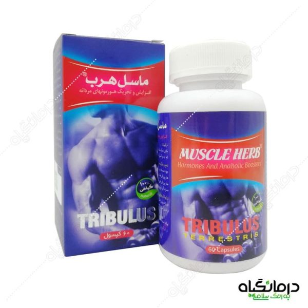 تریبولوس ماسل هرب
