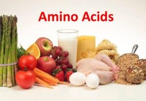 اسیدهای آمینه ضروری
