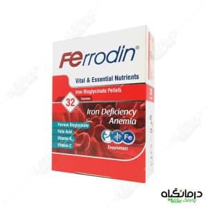 فرودین هولیستیکا