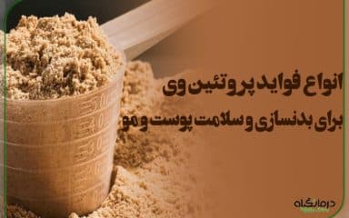 انواع فواید پروتئین وی برای بدنسازی تا سلامت پوست و مو