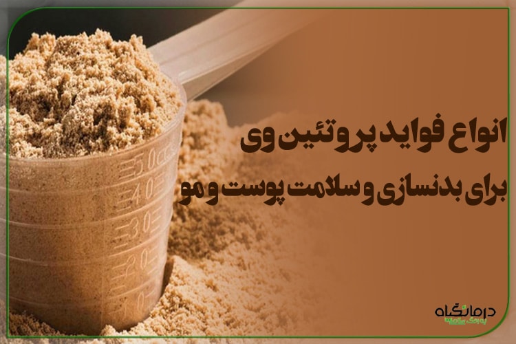 انواع فواید پروتئین وی برای بدنسازی تا سلامت پوست و مو