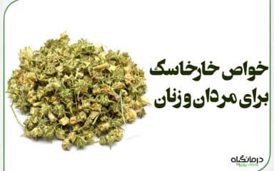 خواص خارخاسک برای مردان و زنان