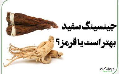 جینسینگ سفید بهتر است یا قرمز ؟