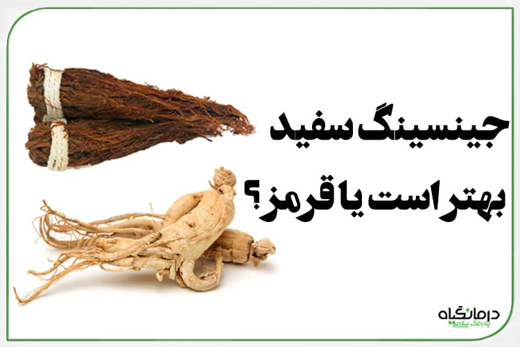 جینسینگ سفید بهتر است یا قرمز ؟