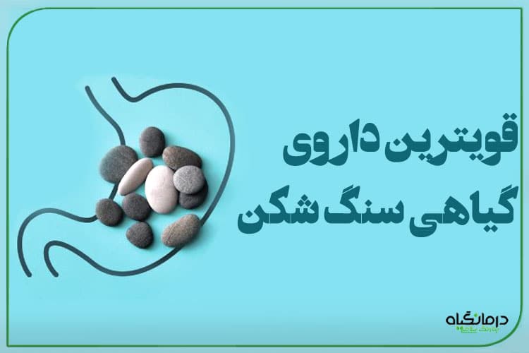 قویترین داروی گیاهی سنگ شکن