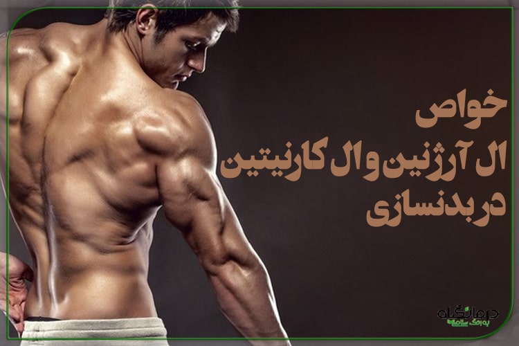 خواص ال آرژنین و ال کارنیتین در بدنسازی