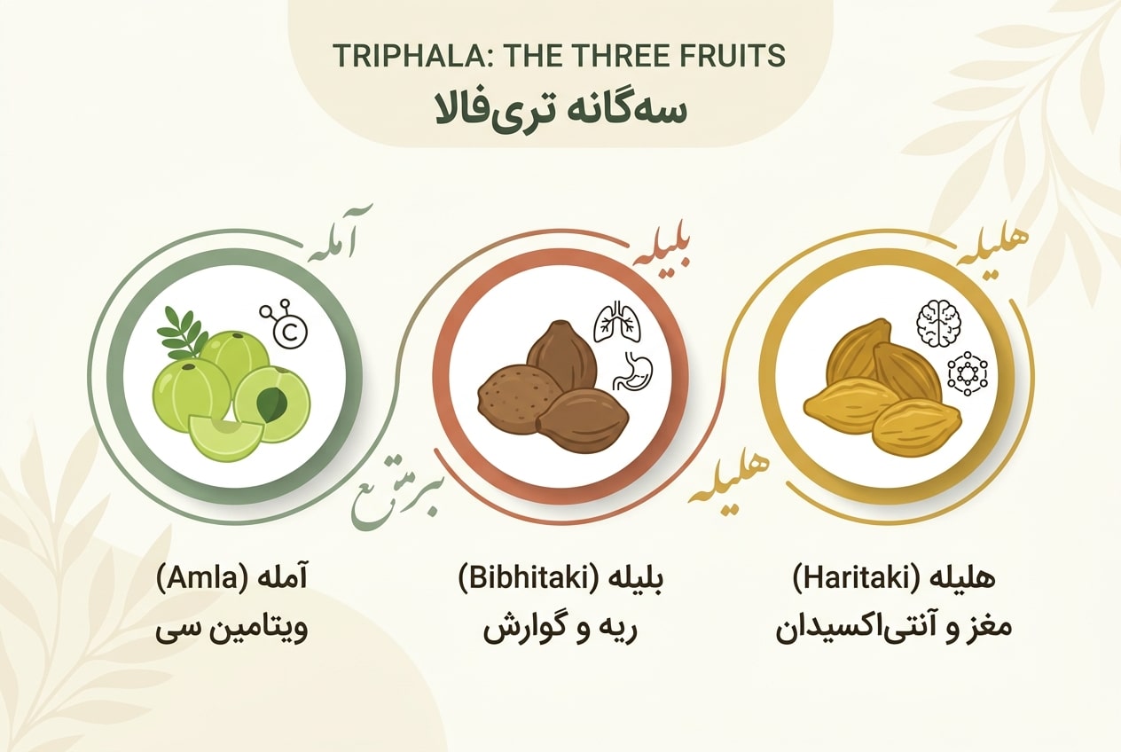 سه گانه تری فلا یا همان اطریفل